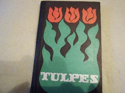Tulpes