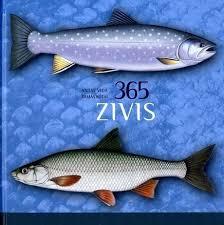 365 zivis