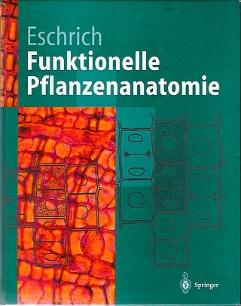 Walter Eschrich (Autor) - Funktionelle Pflanzenanatomie