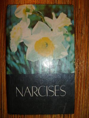 Narcises