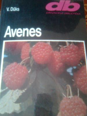 Avenes