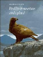 Bird life of mountain and upland