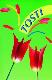 Tosti