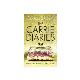The Carrie Diaries