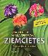 Ziemcietes