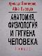 Анатомия, физиология и гигиена человека