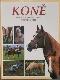 Koně