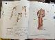 Sobotta Atlas of Anatomy