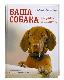 Ваша собака