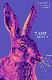 Cursed bunny