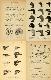 Handbook of Birds of Eastern North America by Chapman