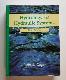 Hydrology and Hydraulic Systems