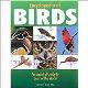Encyclopedia of Birds