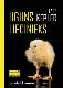 Uguns liecinieks