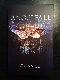 Angelfall
