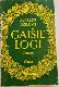 Gaišie logi