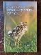 Birding in Lithuania Nemunas Delta Region