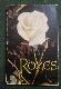 Rozes