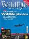 BBC Wildlife Magazine, October 2005