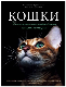 Кошки