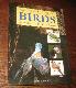 Illustrated Guide to Birds of the British Isle and Europe