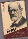 Введение в психоанализ. С комментариями и иллюстрациями