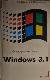Операционная среда  Windows 3.1