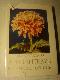 Хризантемы в Латвийской ССР