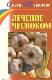 Лечение чесноком