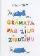 Grāmata par zilo zirdziņu