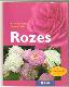 Rozes