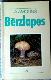 Bērzlapes