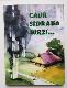 Caur sidraba birzi