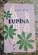 Lupīna