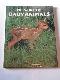 The world of baby animals