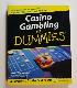 Casino Gambling for Dummies
