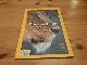 National Geographic 08/2013