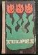Tulpes