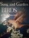Song & Garden Birds - Water, Prey & Game Birds of North America (with bird  song records). (2.gr.)