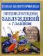Полная иллюстрированная энциклопедия заблуждений о главном