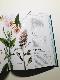 Flowers and Their Meanings: The Secret Language and History of Over 600 Blooms