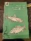 Прудовое рыбоводство в хозяйствах